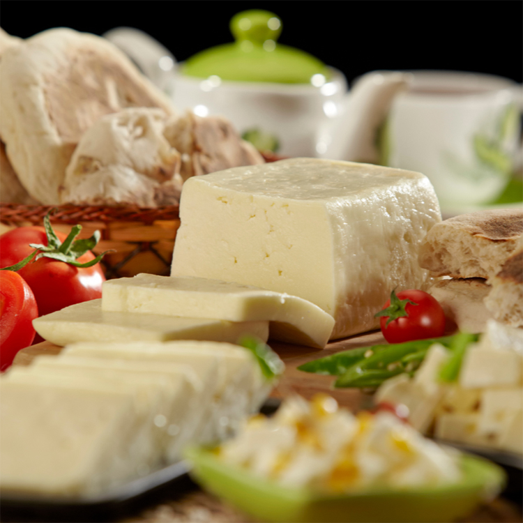 Cheese-Making 01 Fresh & Soft Cheeses